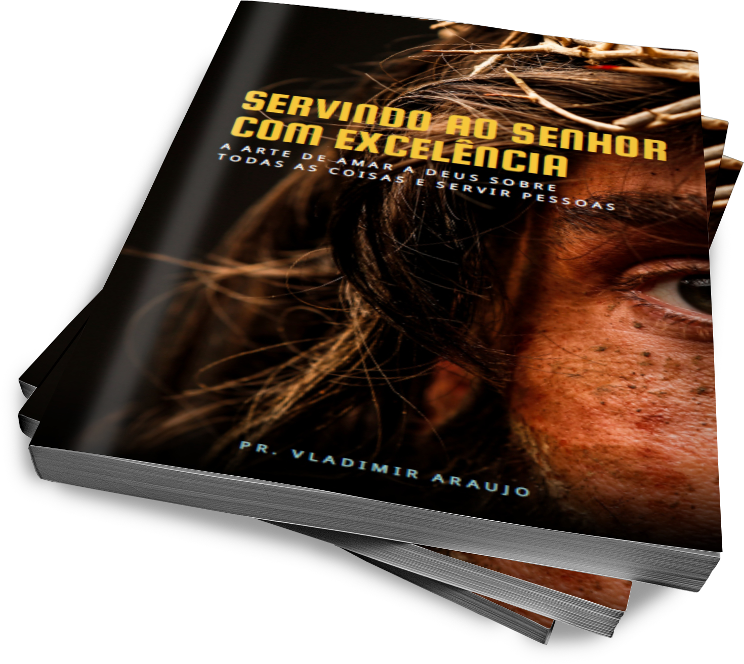 Ebook servindo ao Senhor com excelência - Blog vladimiraraujo.com