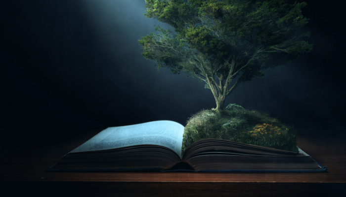 O que é a árvore da vida? - Blog vladimiraraujo