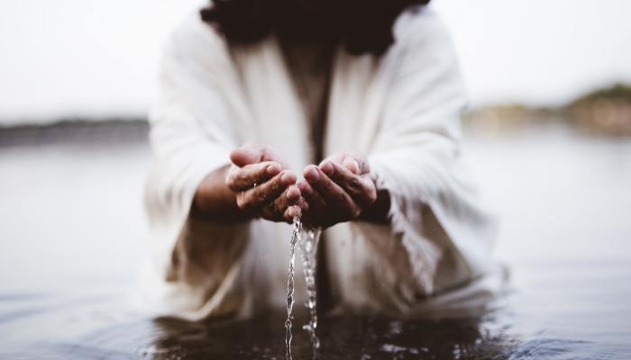 A purificação dos sacerdotes - Blog vladimiraraujo