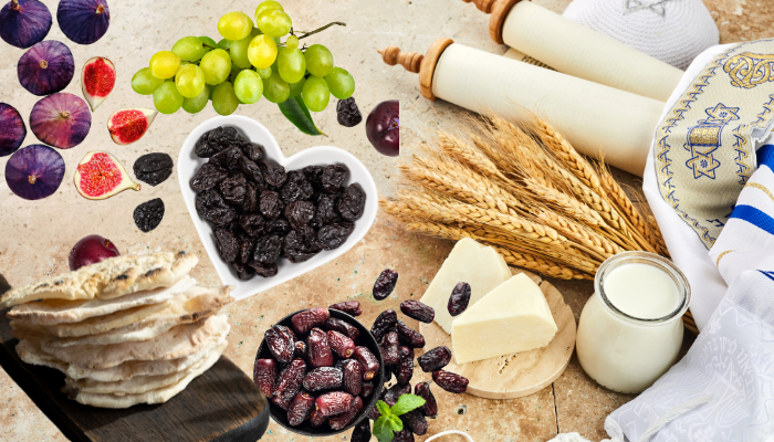 Alimentação no mundo bíblico - Blog Vladimiraraujo