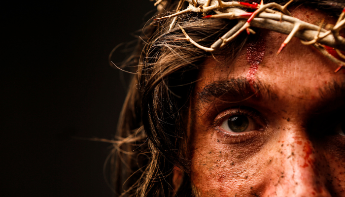 Como Jesus cumpriu as profecias - Blog Vladimiraraujo