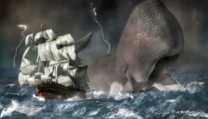 Como Jonas foi engolido por um grande peixe? - Blog Vladimiraraujo