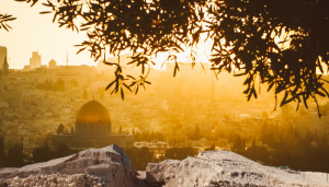 A Vida na Palestina de Jesus - Blog Vladimiraraujo