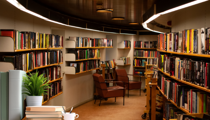 biblioteca blog vladimiraraujo