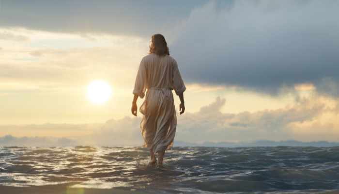 Jesus de Nazaré Milagres e Sinais - Blog Vladimiraraujo