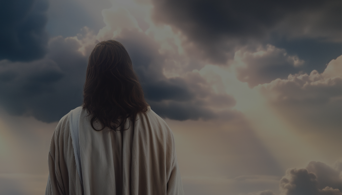 Jesus de Nazaré: o Deus homem  - blog vladimiraraujo