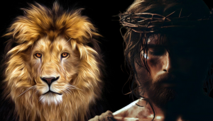 Jesus; o leão da tribo de Judá - Blog Vladimiraraujo