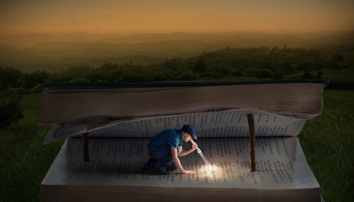 Meditando na Palavra Dia e Noite - Blog vladimiraraujo