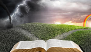 Morte ou Vida: Escolha seu Caminho - Blog Vladimiraraujo