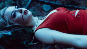 Neste Mundo Tudo é Vaidade - Blog Vladimiraraujo