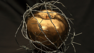 O fruto do pecado e suas consequências - blog vladimiraraujo