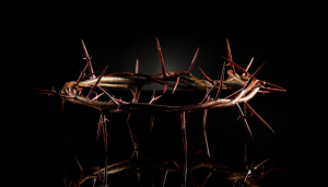 O peso da coroa de espinhos - Blog vladimiraraujo