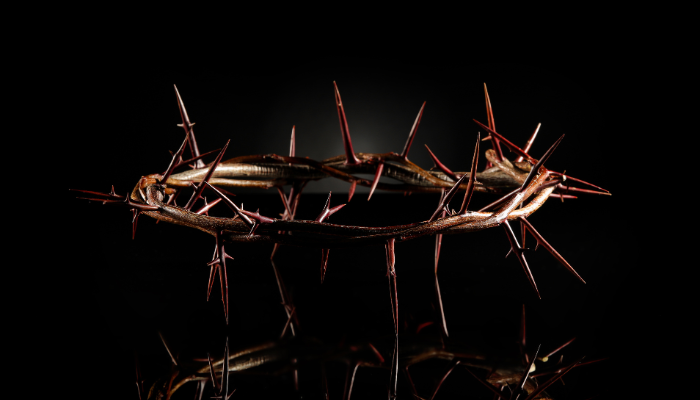 O peso da coroa de espinhos - Blog vladimiraraujo