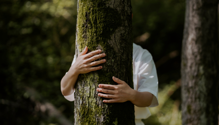 O que a Bíblia diz aos Tímidos - Blog Vladimiraraujo