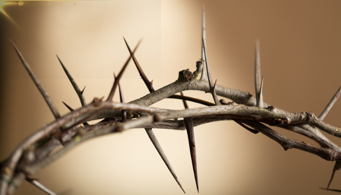 O que é o espinho na carne? - Blog Vladimiraraujo