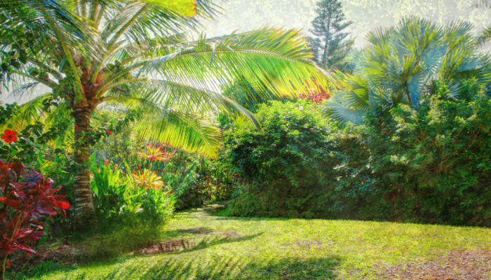 O significado do Jardim do Éden - Blog vladimiraraujo