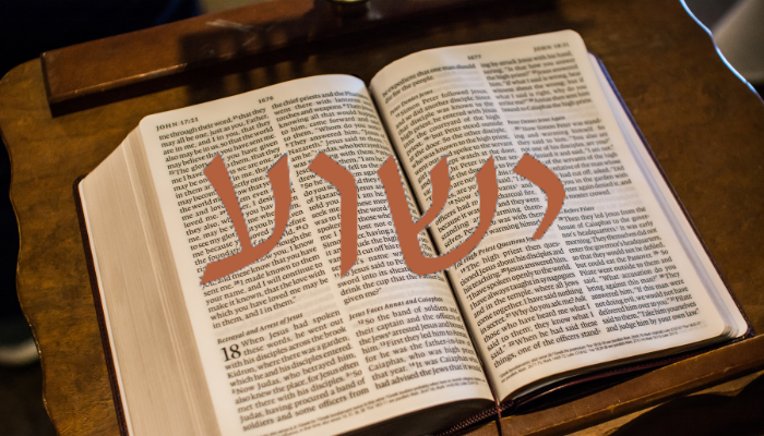 O que quer dizer a palavra Yeshua? - Blog vladimiraraujo