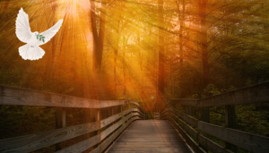 Os Atributos de Deus Revelando Seu Caráter - Blog Vladimiraraujo