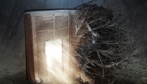 Enigmas da Bíblia desvendados - Blog vladimiraraujo