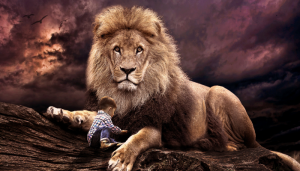 Os justos são corajosos como leão - Blog Vladimiraraujo