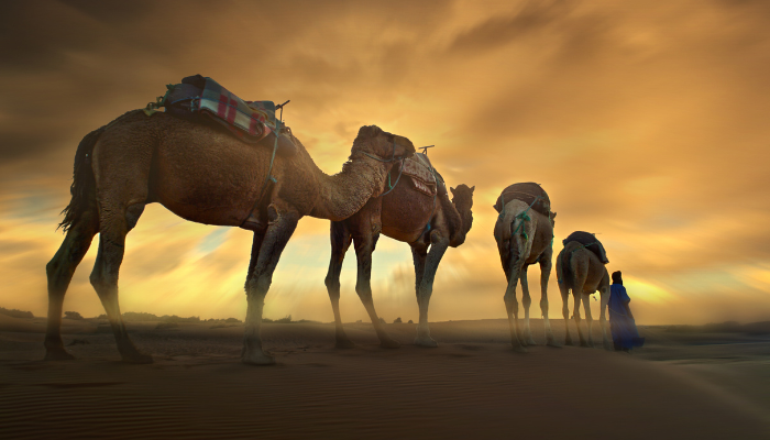 Personagens que Cruzaram o Deserto - Blog Vladimiraraujo.com