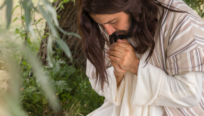 Por que Jesus orava a parte? - Blog vladimiraraujo