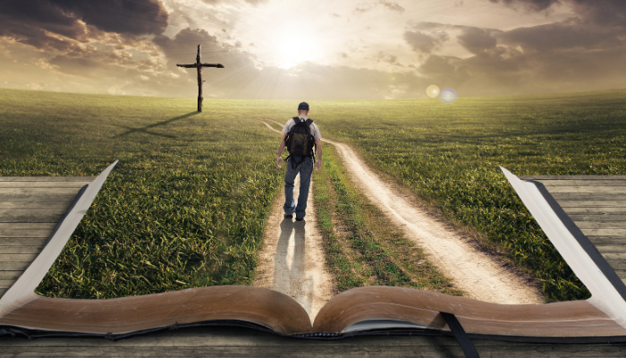 Qual é o tema central e o plano geral da Bíblia? - Blog Vladimiraraujo