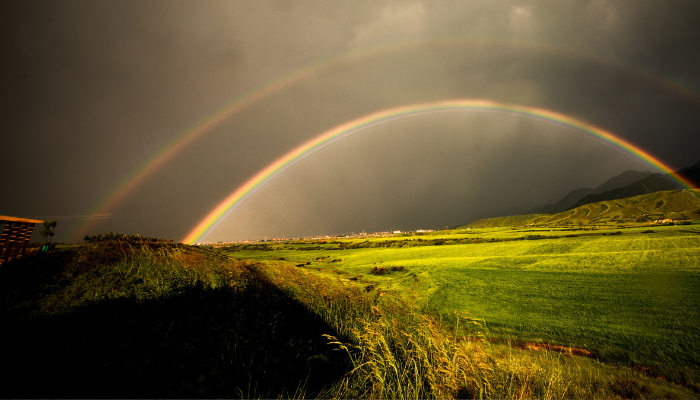 O propósito da aliança de Deus - Blog Vladimiraraujo