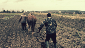 Quem Põe a Mão no Arado? - Blog Vladimiraraujo