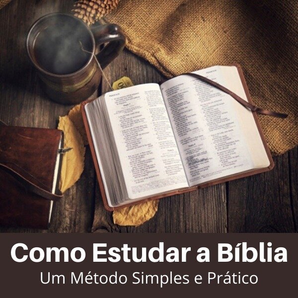 como estudar a biblia