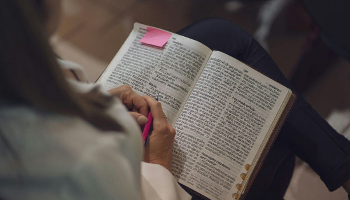 Entendendo a Palavra de Deus - Blog Vladimiraraujo