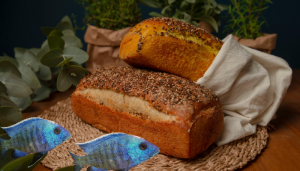 A lição dos 5 pães e 2 peixes - blog vladimiraraujo