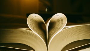 Os Quatro Tipos de Amor - blog vladimiraraujo- blog vladimiraraujo - Blog Vladimiraraujo