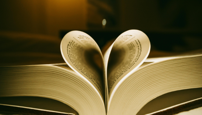 Os Quatro Tipos de Amor - blog vladimiraraujo- blog vladimiraraujo - Blog Vladimiraraujo