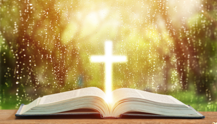 O que é o Livro da Vida? - Blog Vladimiraraujo