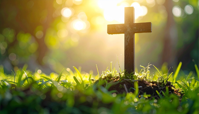 Vida Eterna: Mitos e Verdades - Blog Vladimiraraujo