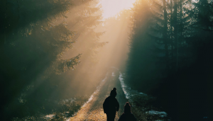O Caminho para a Salvação - Blog Vladimiraraujo