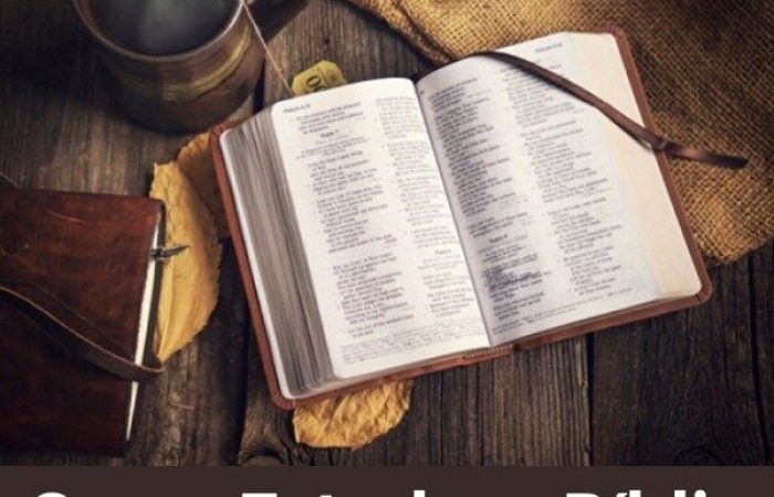 como estudar a biblia